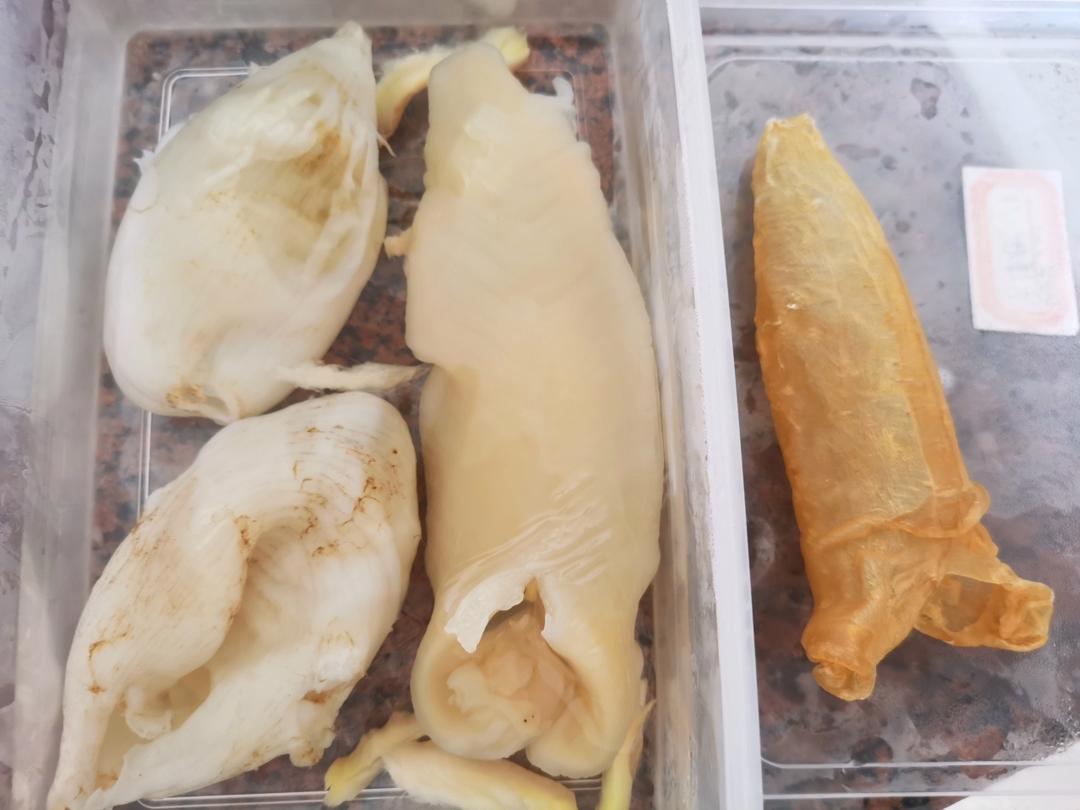 如何泡发花胶鱼胶？