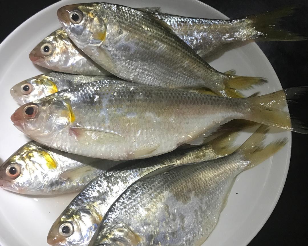 【下奶鱼,黄鱼的做法步骤图,怎么做好吃】广东木子教煲汤_下厨房