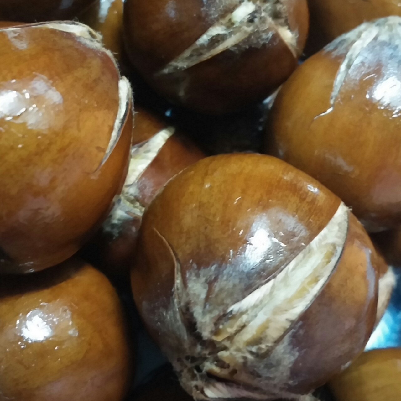 慵懒美丽的栗子