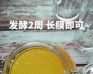 kombucha 红茶菌酿制老姜醋的做法 步骤4