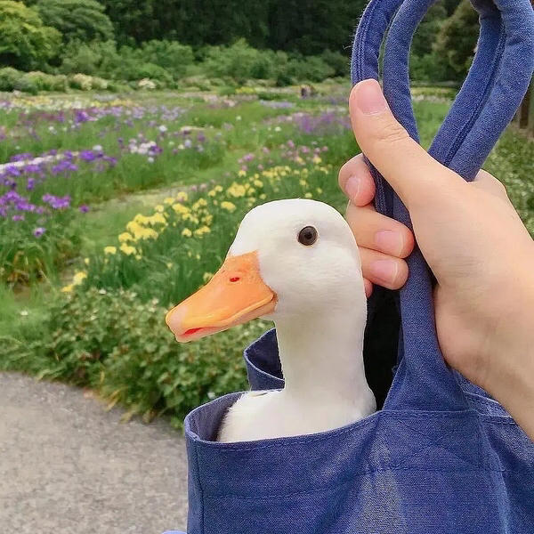 初九九九九九九