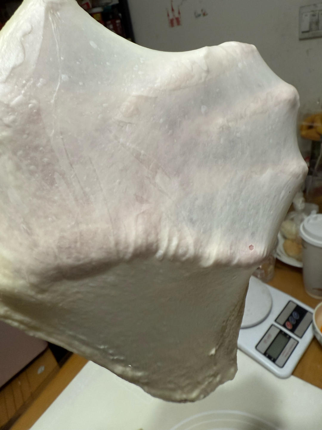 波兰种牛奶吐司