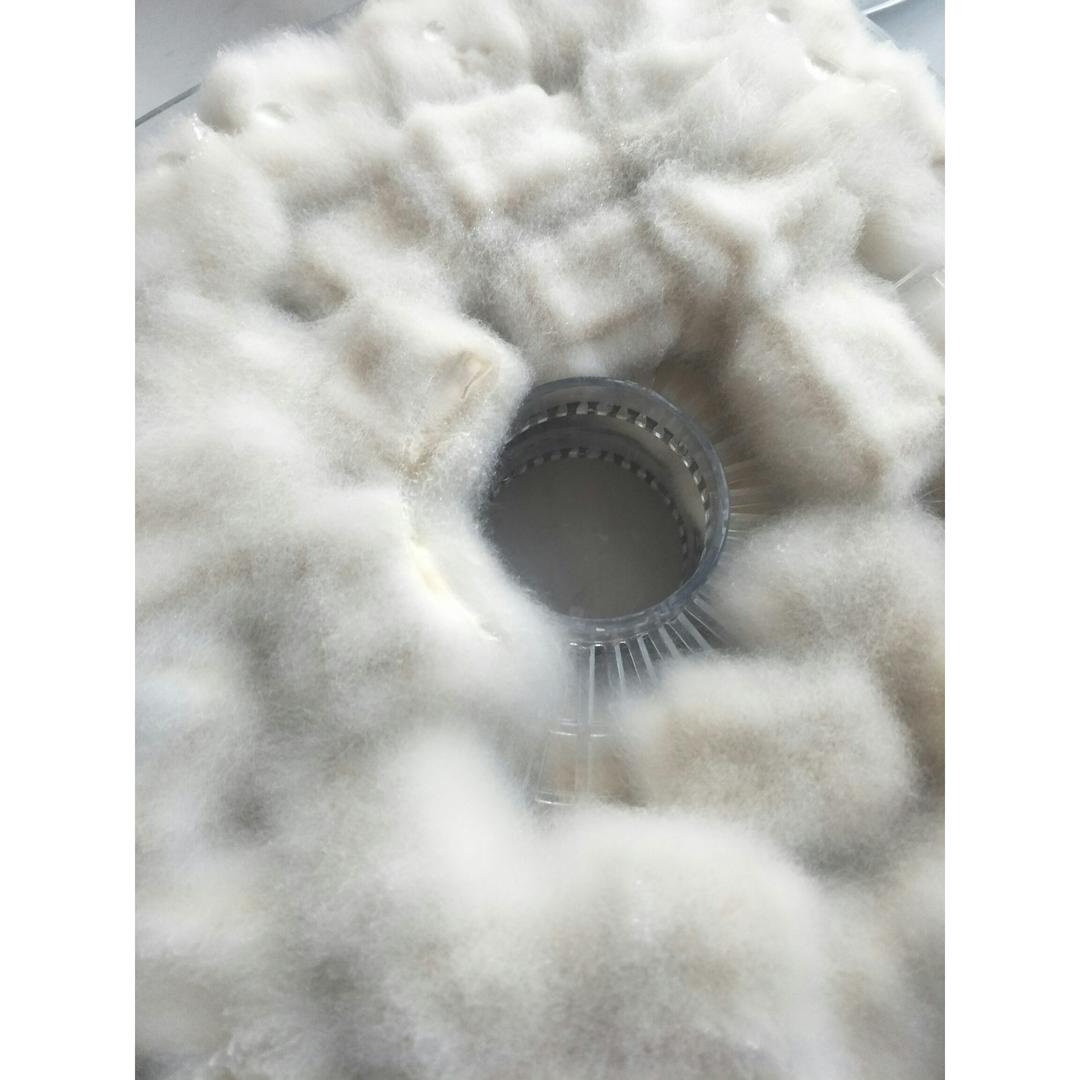 自制臭翻天腐乳，香喷喷的下饭