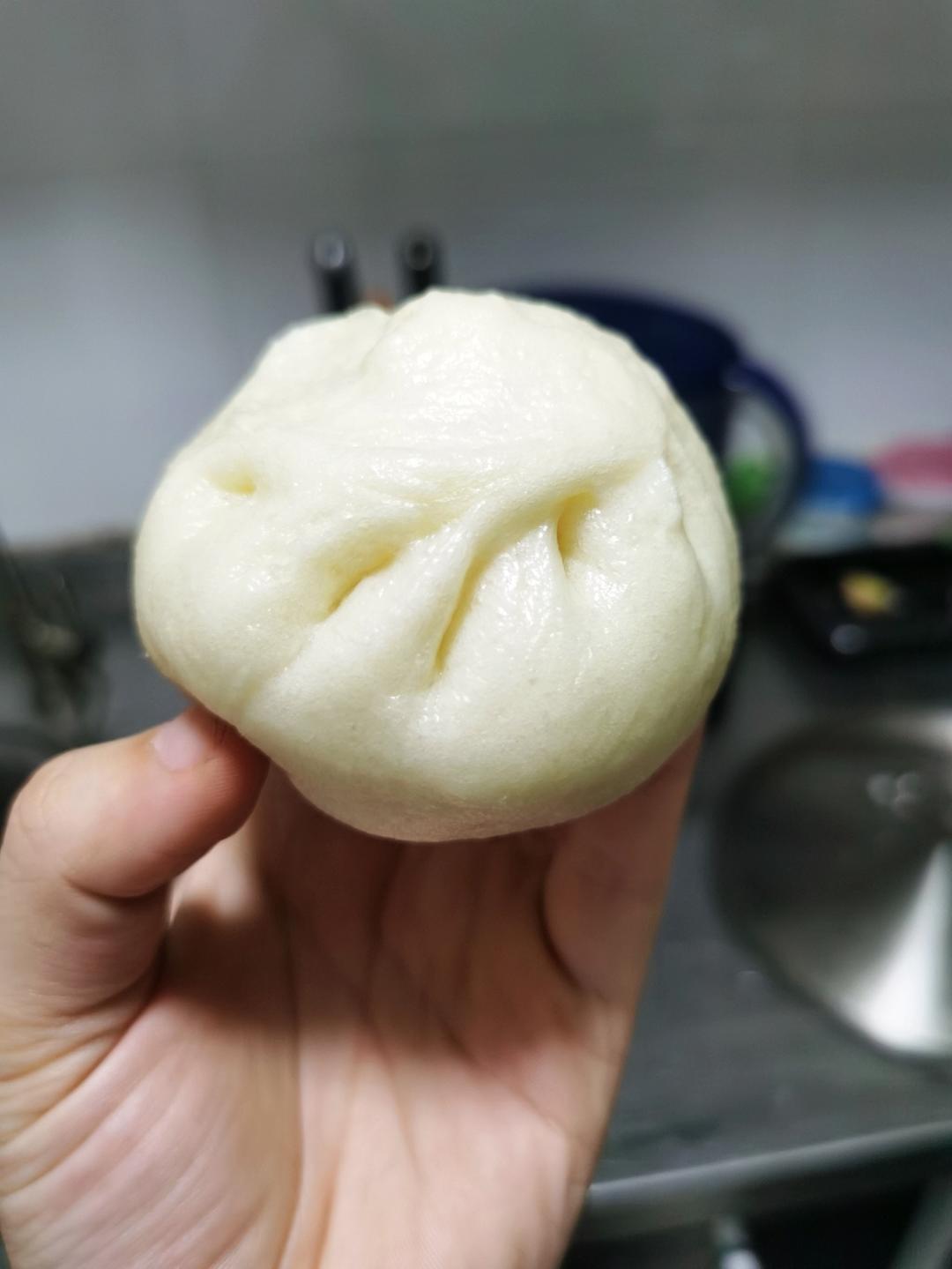 一次发酵肉包子