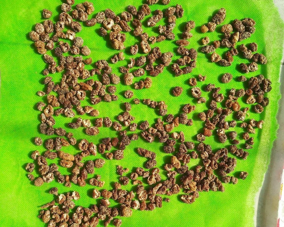 滇橄榄干的做法