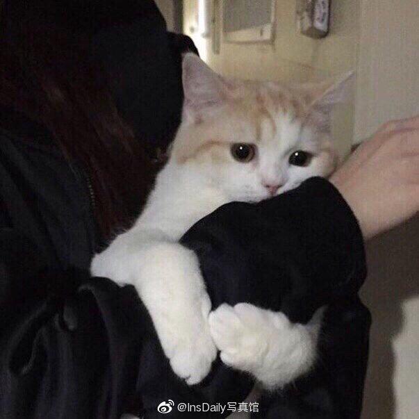 是真的不想做饭