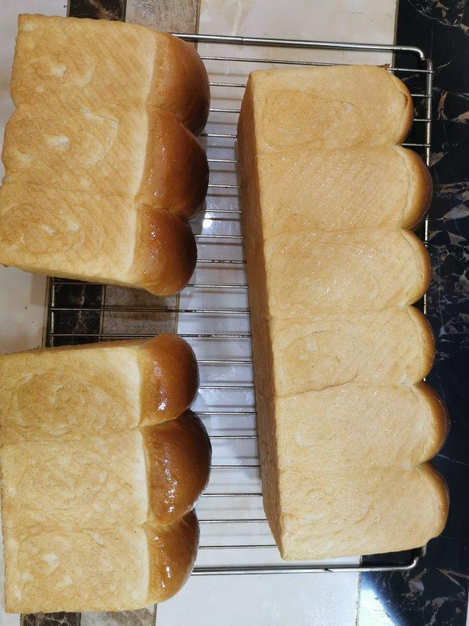 最好吃的牛奶吐司妃娟的100%中种北海道牛奶吐司奶油吐司