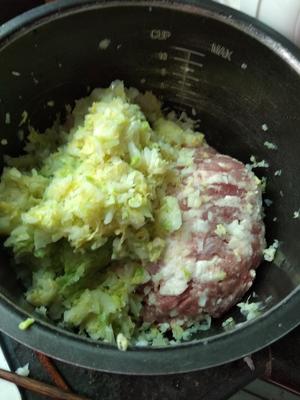 白菜猪肉饺（附饺子包法）的做法 步骤3