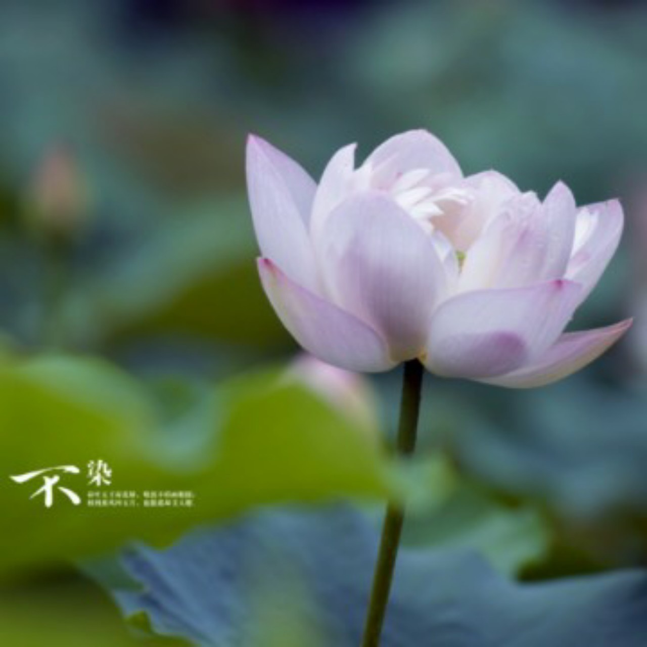 静静地面对自己