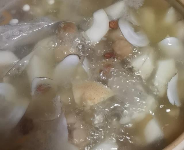 海底椰雪梨猪骨汤的做法
