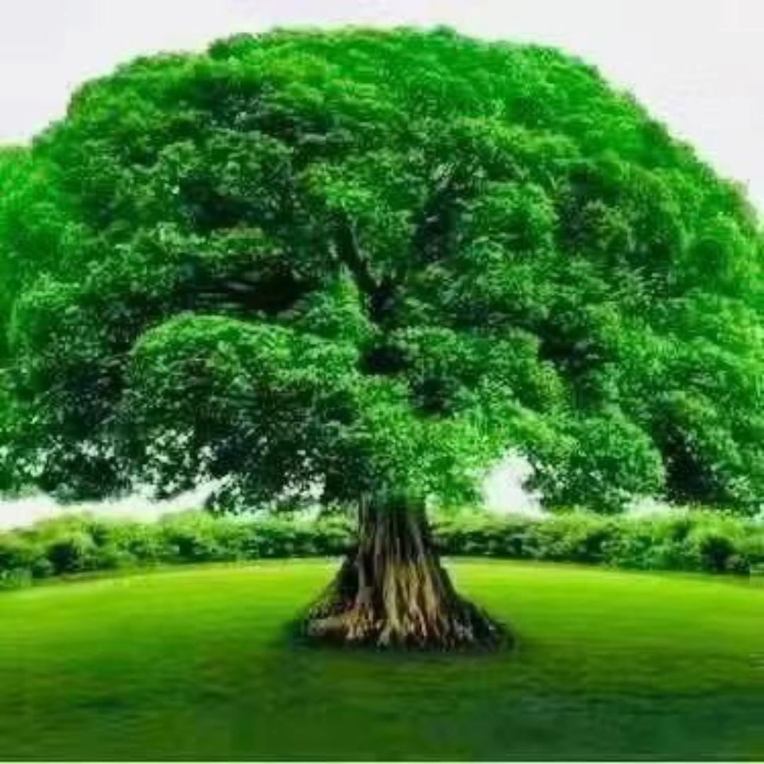 下厨房用户_uxr9b