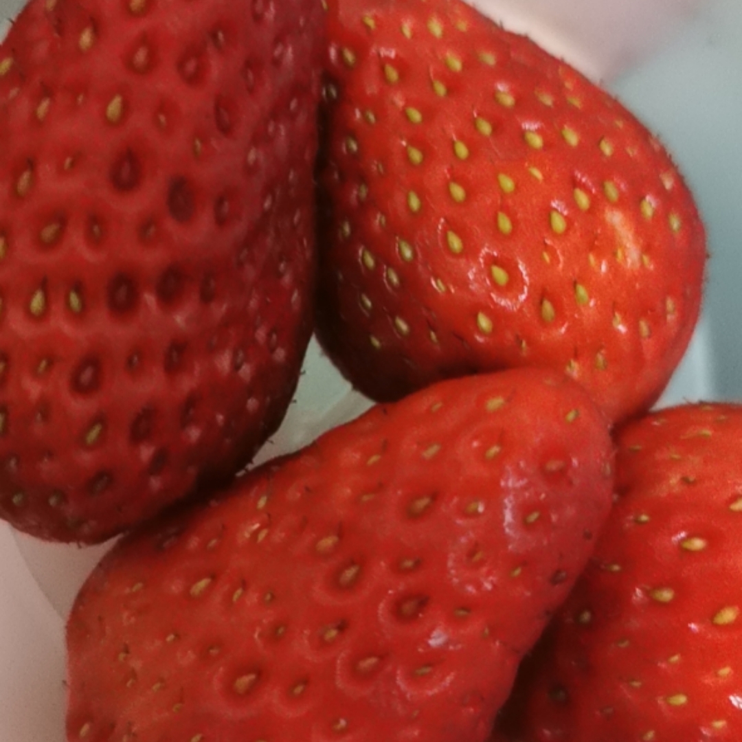 广州草莓