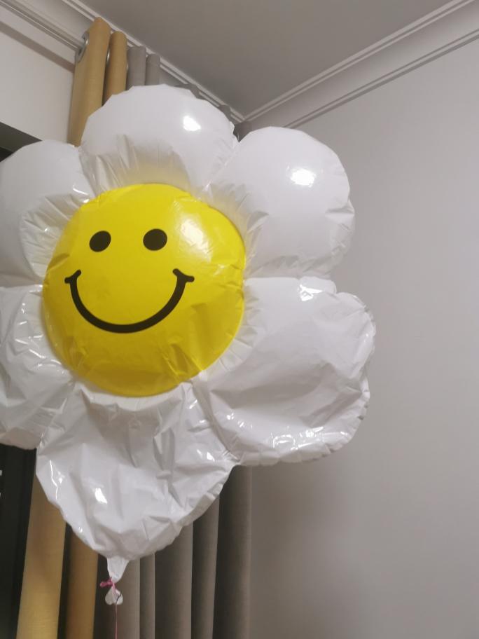 家常炖笨鸡的做法