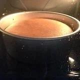 莎莎莎是我