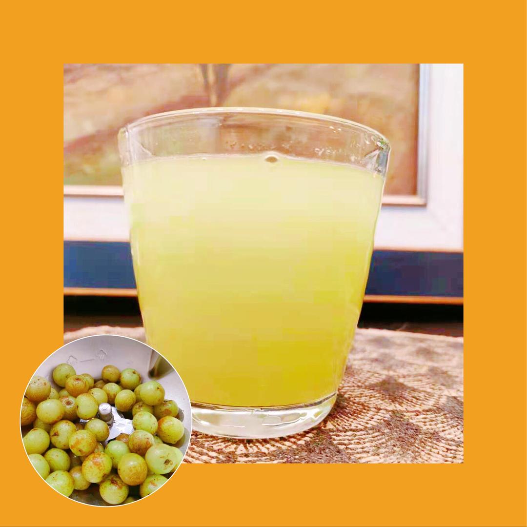 油柑汁(玛捷斯版)的做法