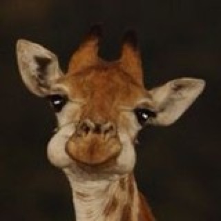 小赵同学的微薄