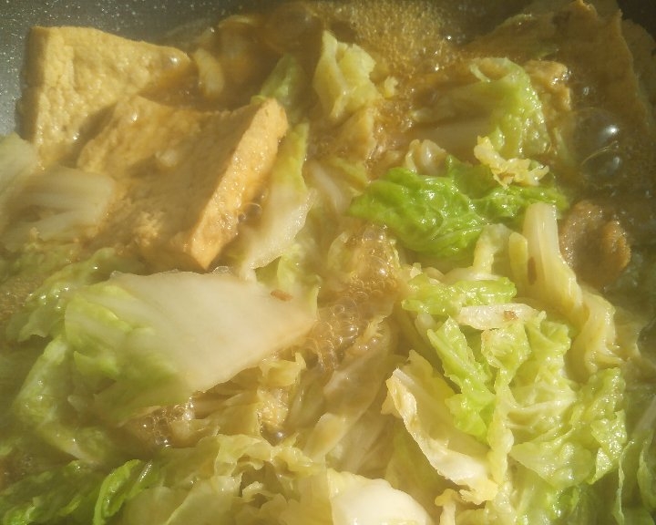 白菜豆腐锅的做法的做法