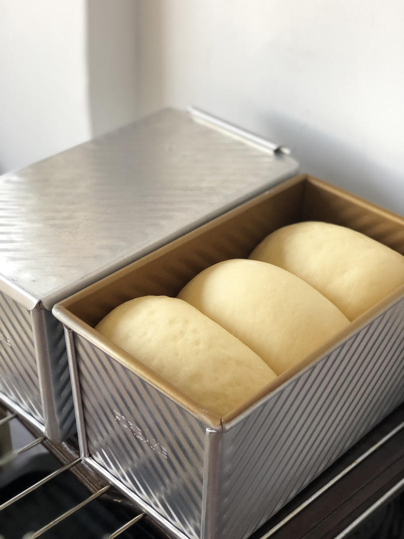 玉米油版一次性发酵吐司