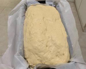 糙米粉面包-无麸质的做法 步骤1