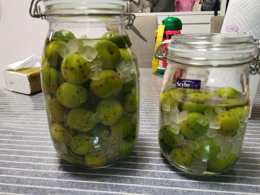 【青梅酒】梅子的沉醉时光（已填坑）