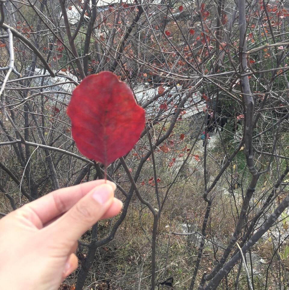 大兴冬天的阳光