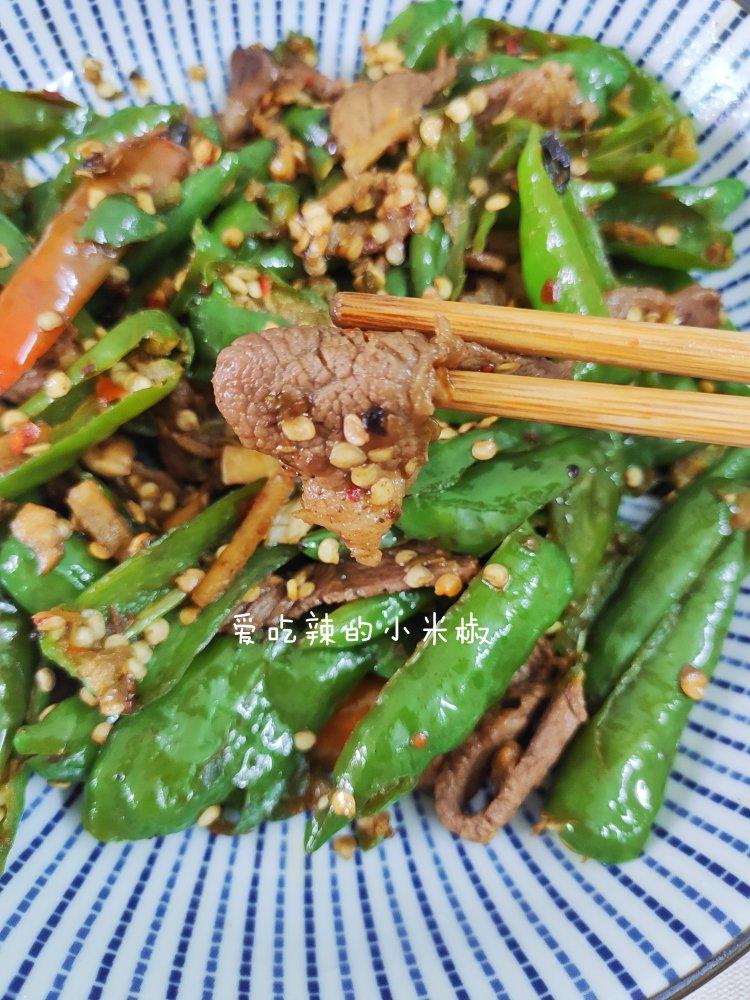 辣椒炒肉（家常菜、超经典的下饭/酒菜）