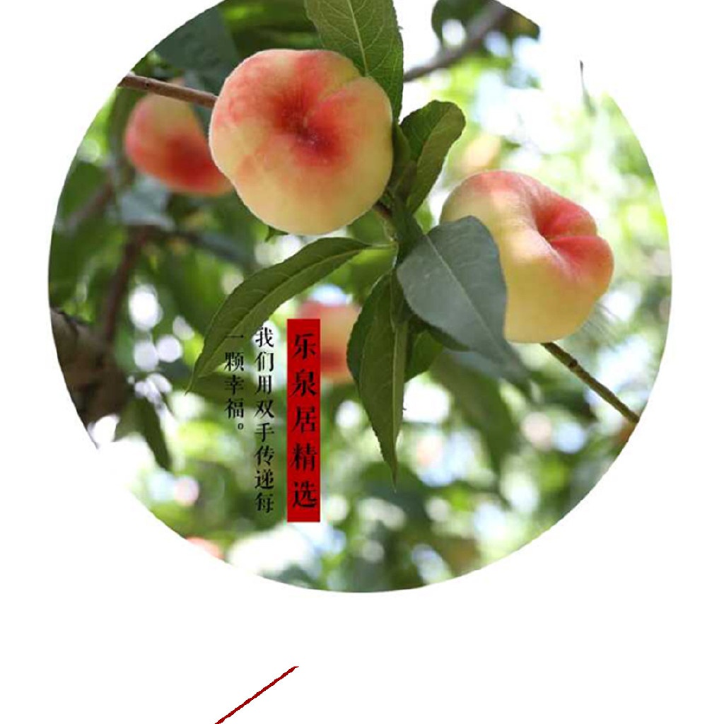 精选手摘果