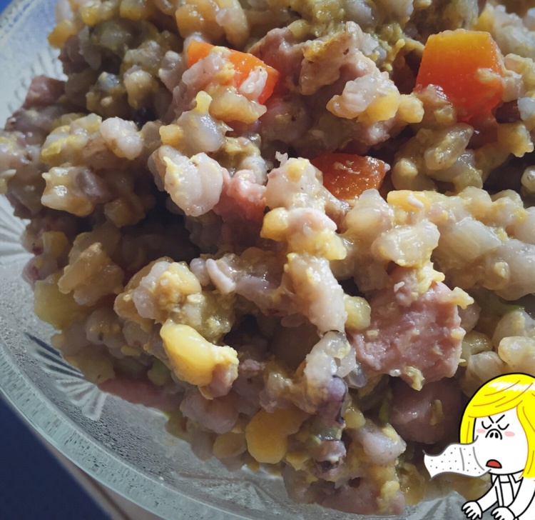 狗狗鲜食之夏天简易版