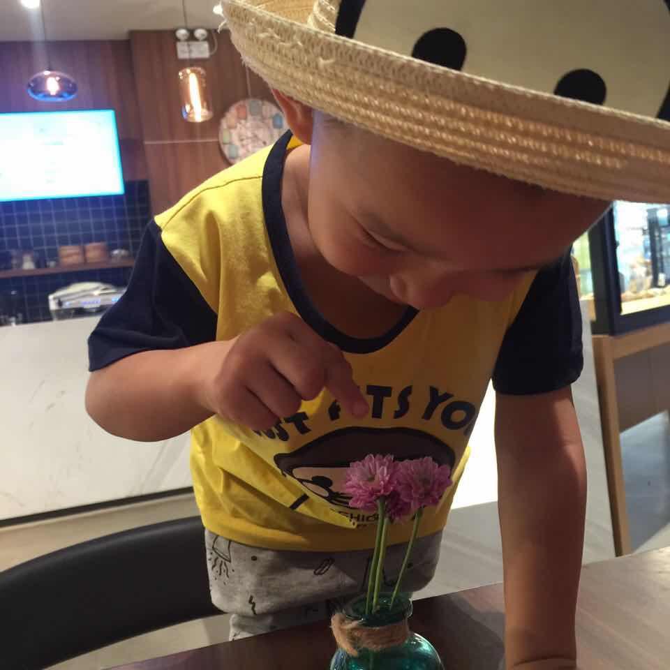 第三只鱼