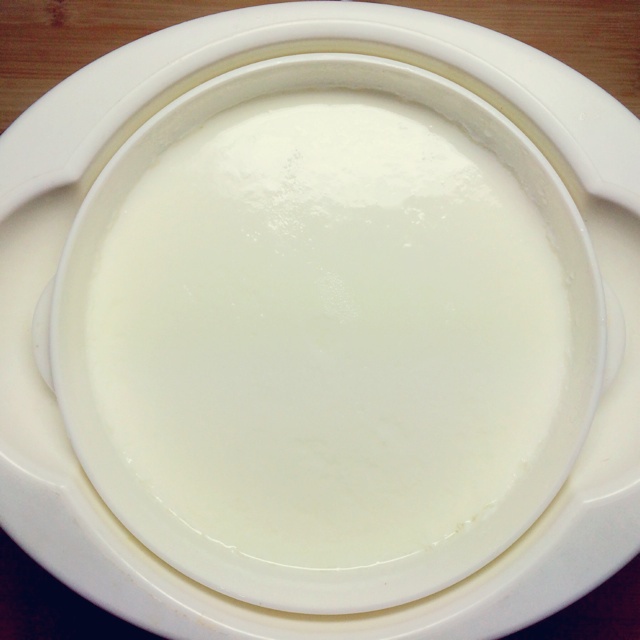 小熊酸奶机自制酸奶