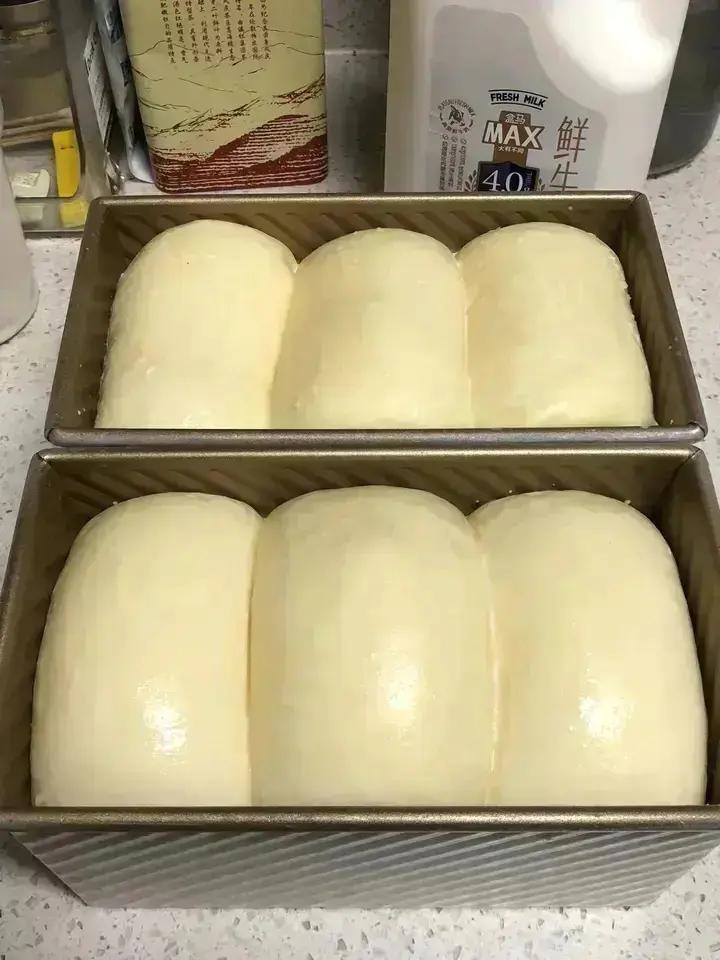 北海道吐司（70%中种）—全蛋大爆头法