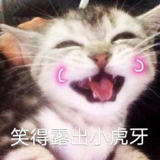 超细腻蛋黄酥豆沙馅