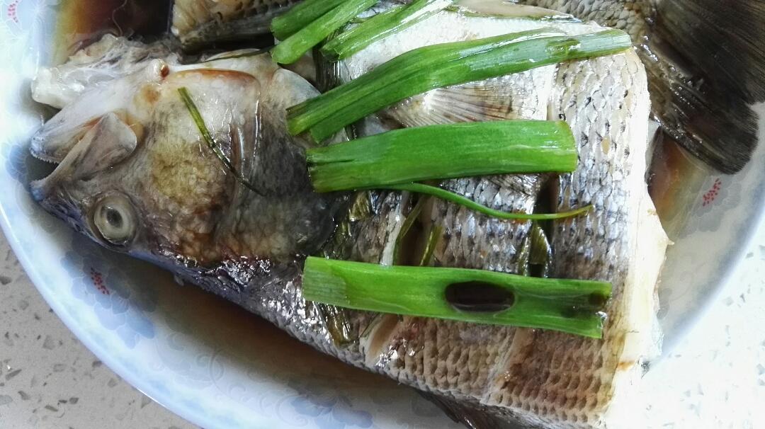 清蒸鲈鱼