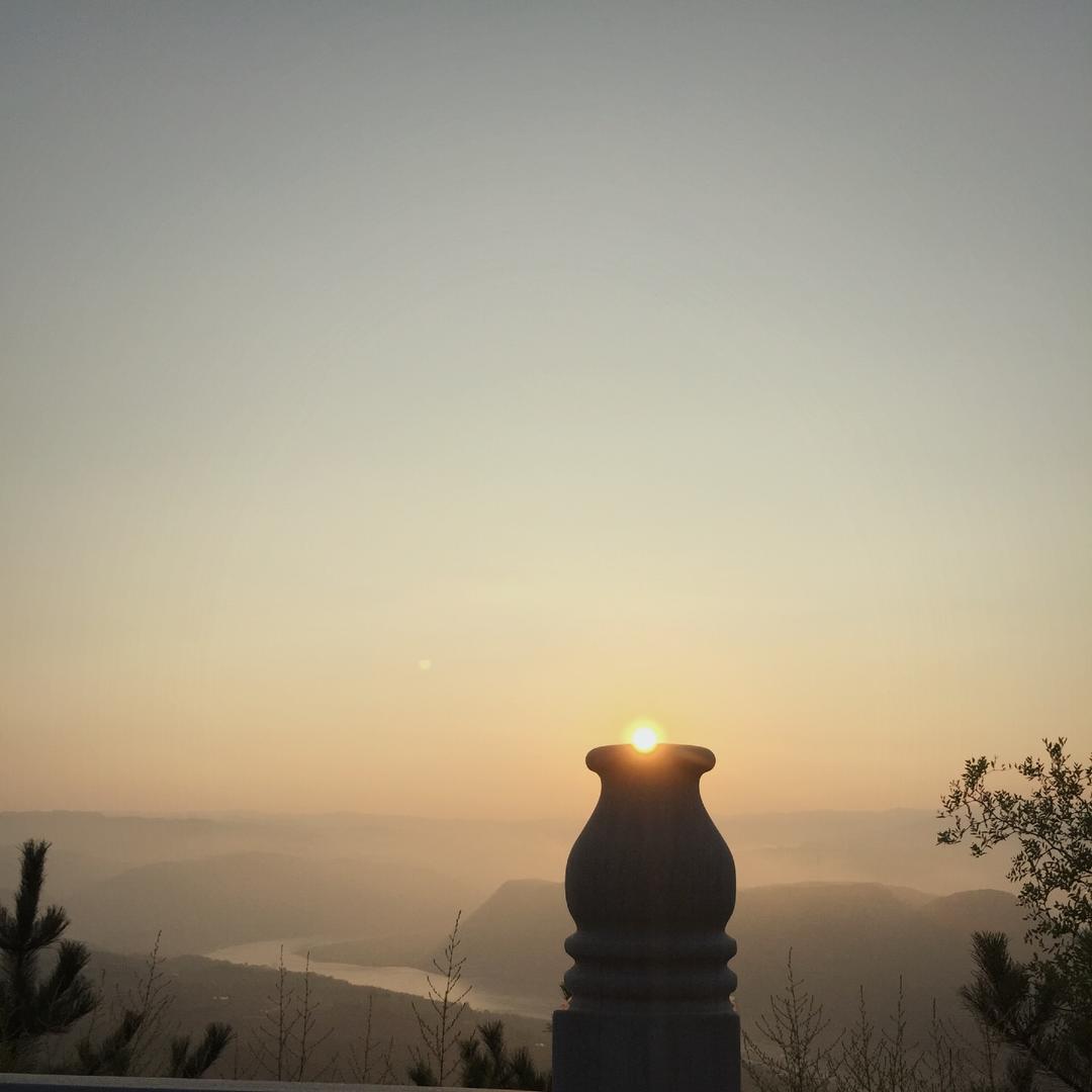 旺旺小老虎