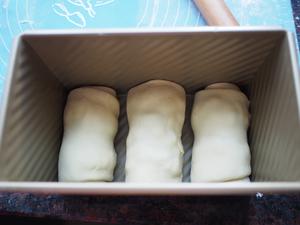 枫糖葡萄干面包（爱和自由方子，中种，适用450克吐司模）的做法 步骤10