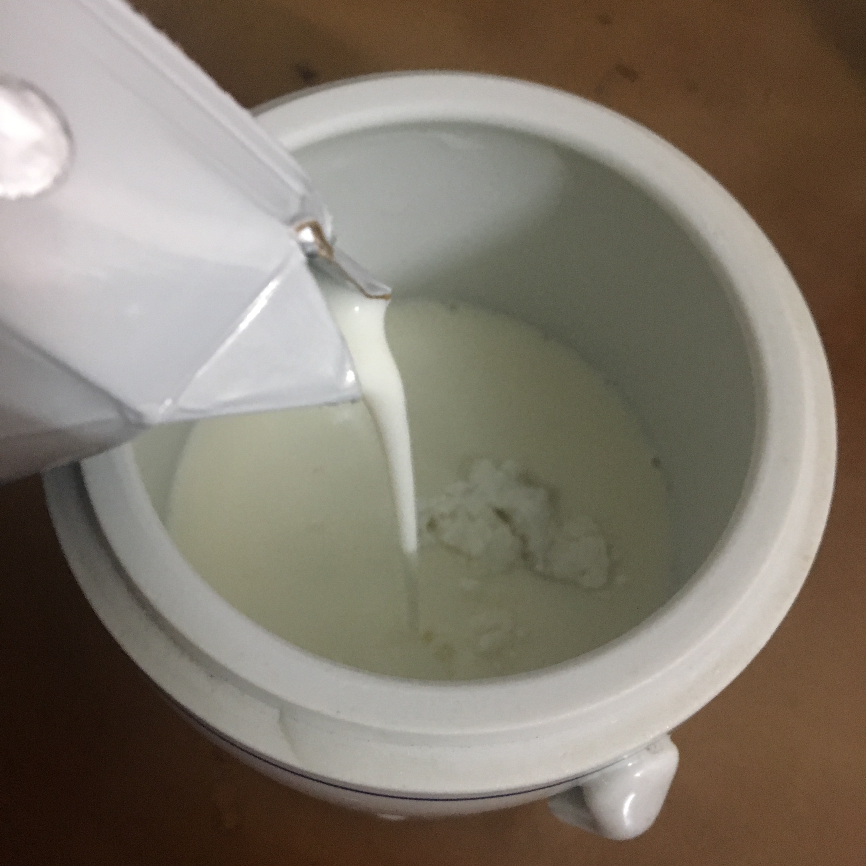 自制酸奶（电炖锅温奶功能版）的做法 步骤3