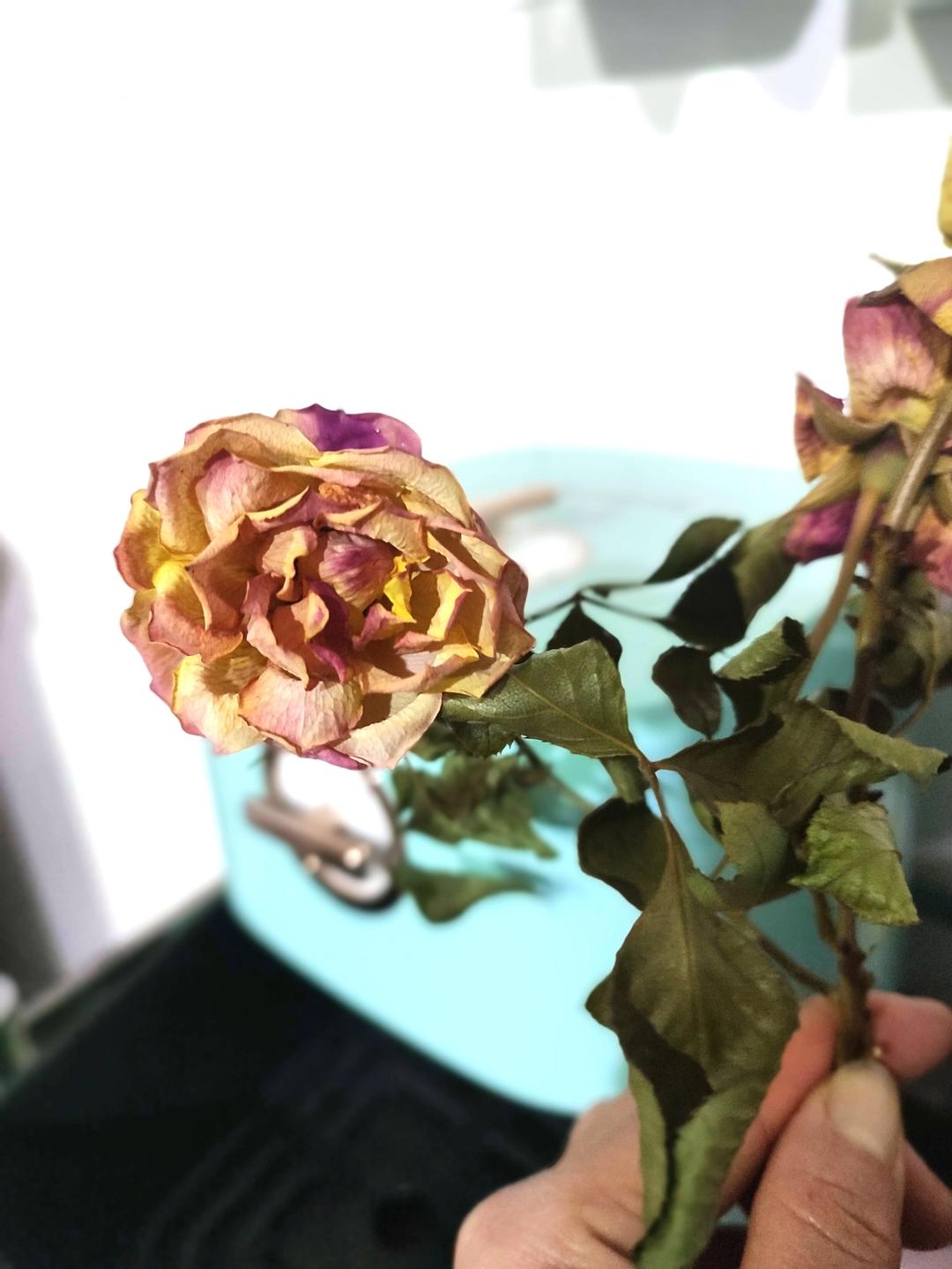 干花（空气炸锅版）