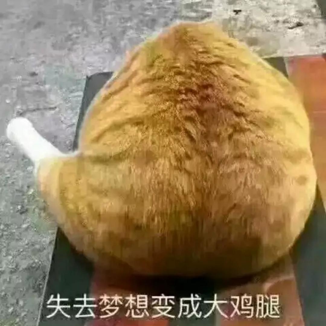 老鲨丶