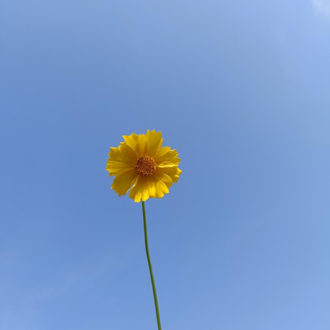 依恋9913