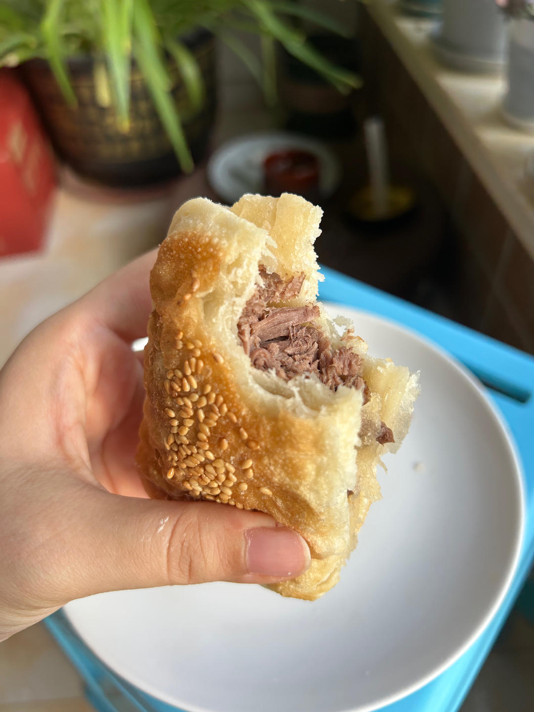 香酥夹肉火烧（河间驴肉火烧）