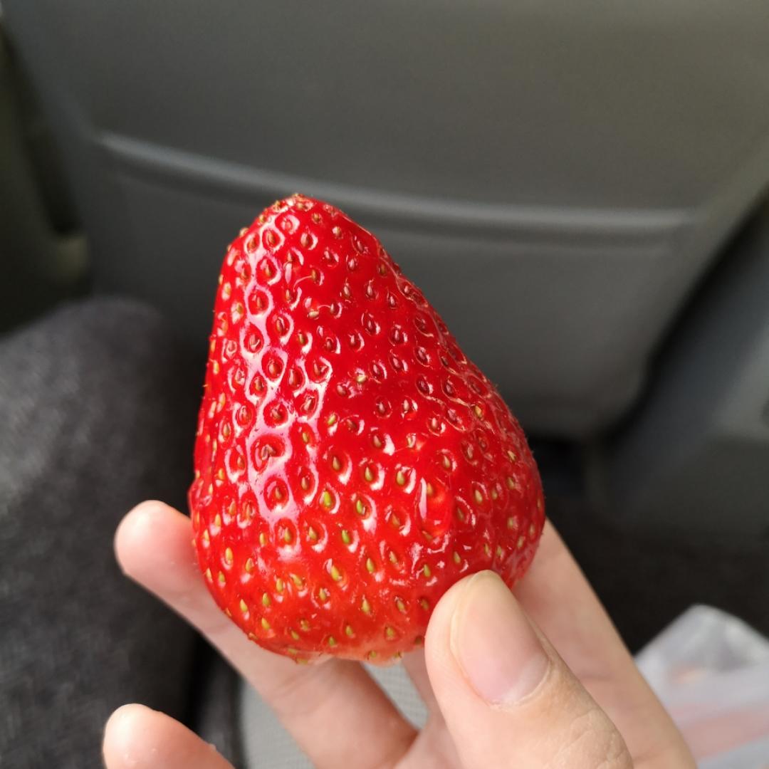 吃不完饭