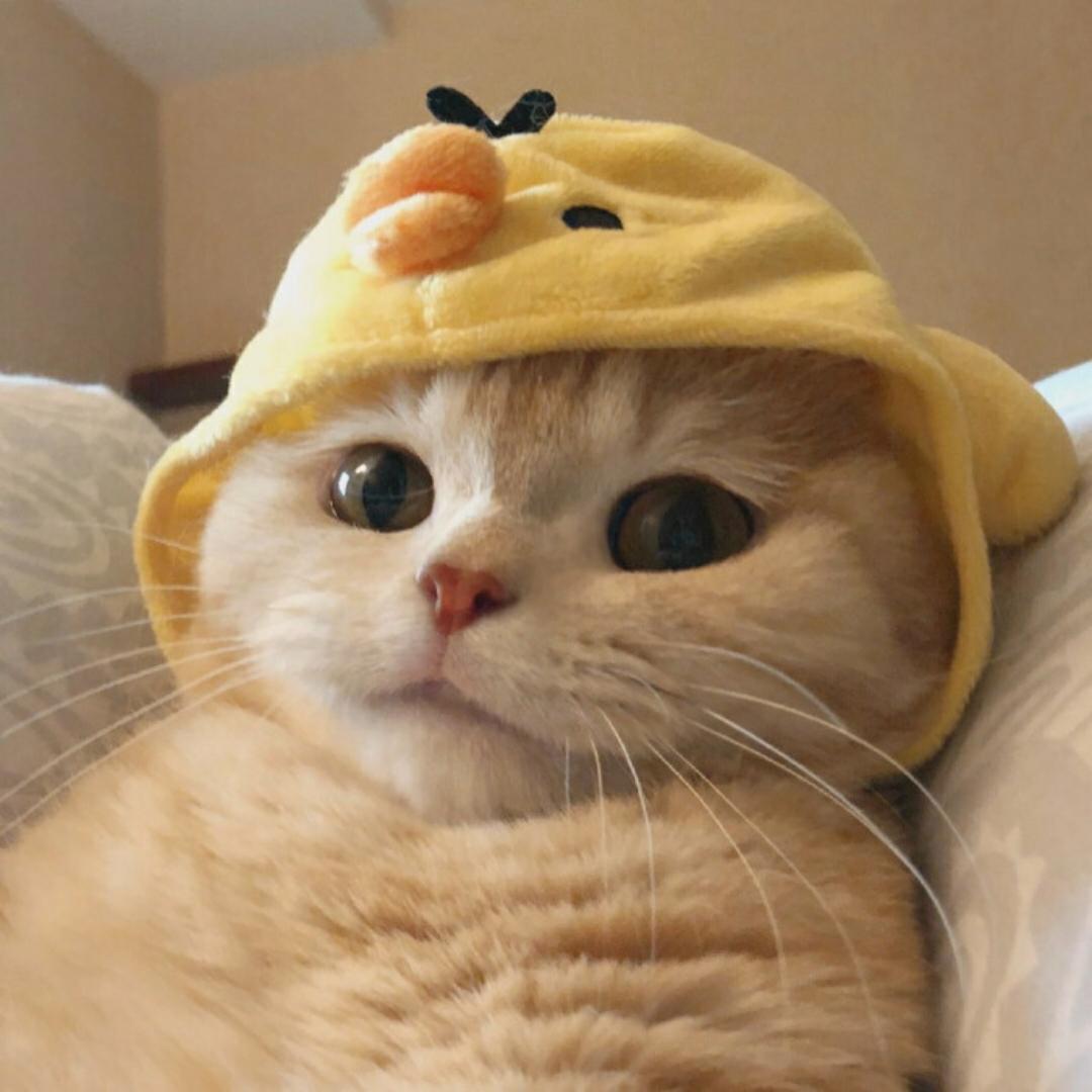 天真的小九