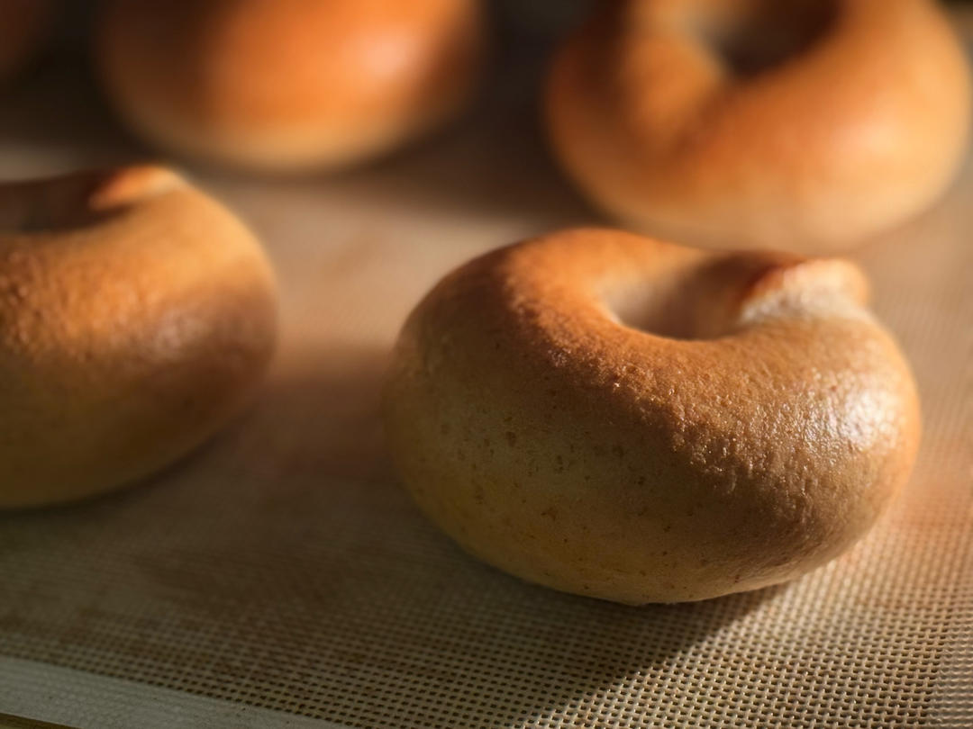 全麦贝果🥯