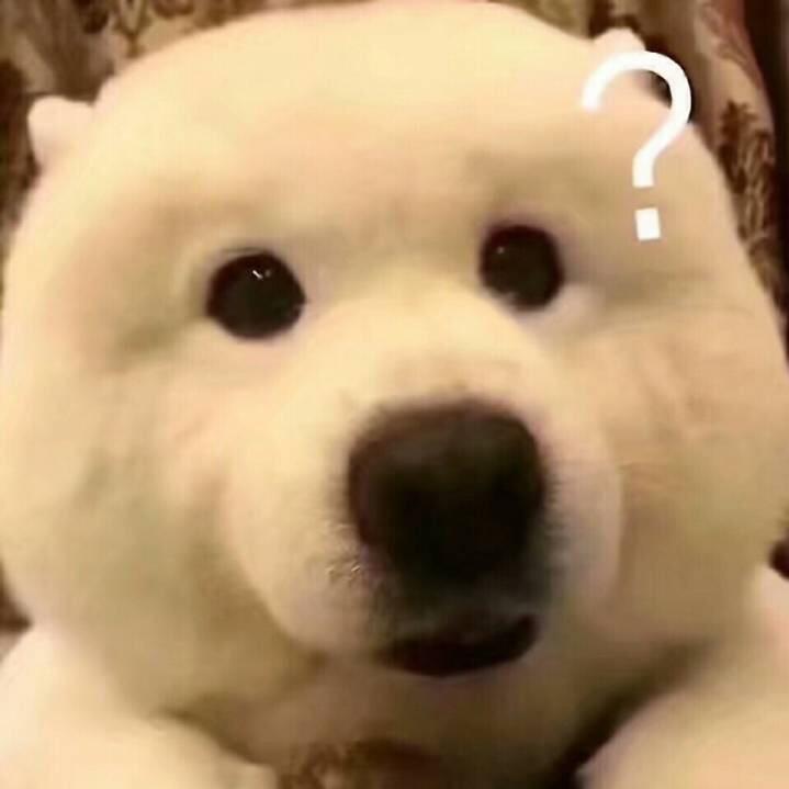关小厨养成记