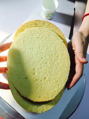 椭圆形蛋糕的拼切的做法 步骤4