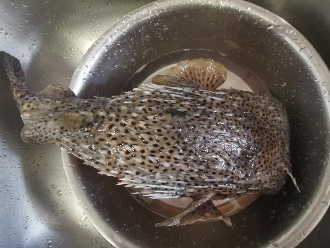 【刺鲍鱼两吃的做法步骤图,刺鲍鱼两吃怎么做好吃】