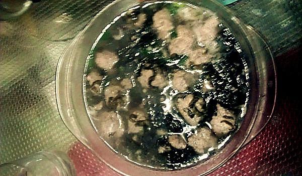 紫菜肉丸子汤的做法