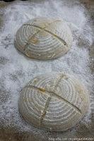 天然酵种面包的做法 步骤7