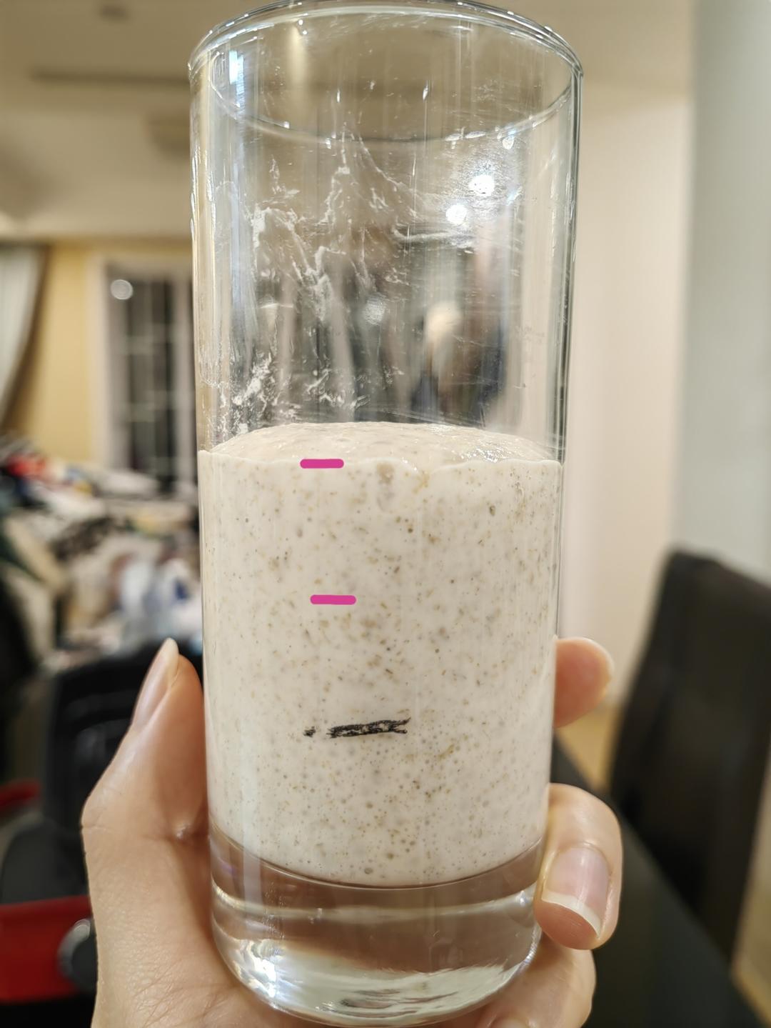 天然酵种、鲁邦种         （黑裸麦起种）