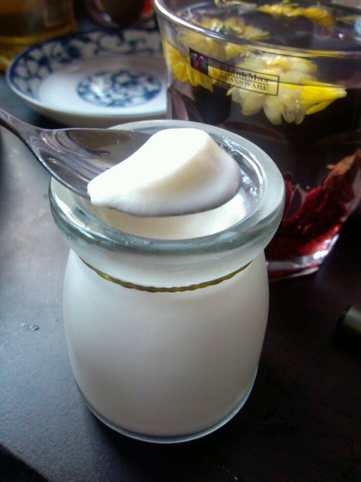 自制酸奶